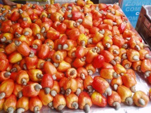 Bild von Cashew-Früchten