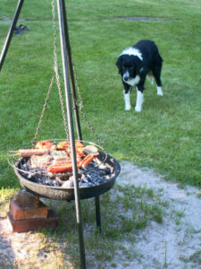 Bild von Hund vor dem Grill